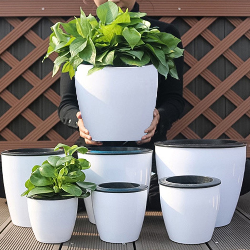 Aloe Vera Pot - Cây Tự Động Tưới Hoa Cây