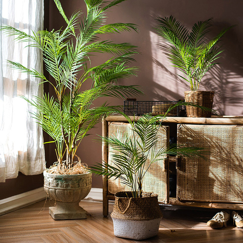 Dracaena Marginata - 125Cm Nhân Tạo Lớn Cây Cọ