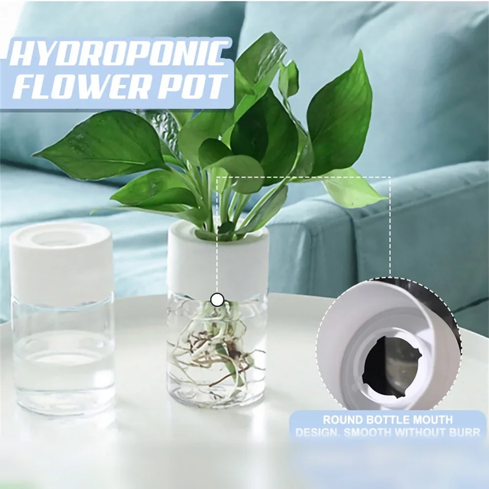 Mini Hydroponic Flower Pot Tra - đánh giá và giá Aloe Vera Pot