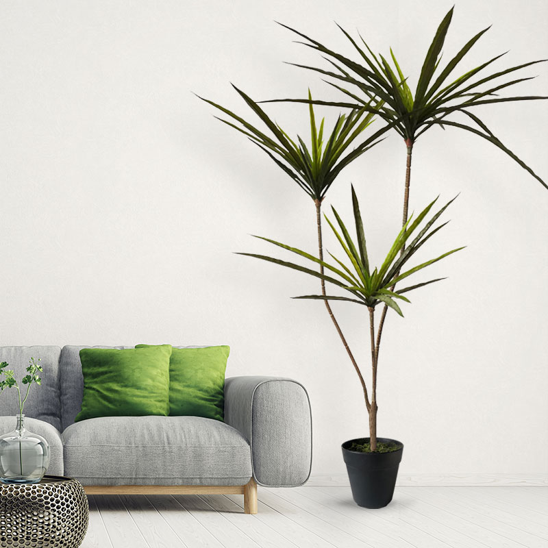90-120Cm Nhân Tạo Lớn Thiến Th - đánh giá và giá Dracaena Marginata