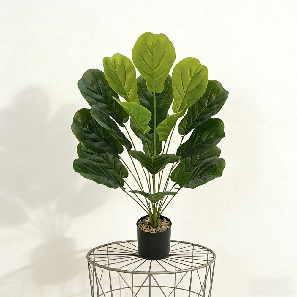 1pc of 75cm Artificial Ficus L - đánh giá và giá Ficus Lyrata Tree