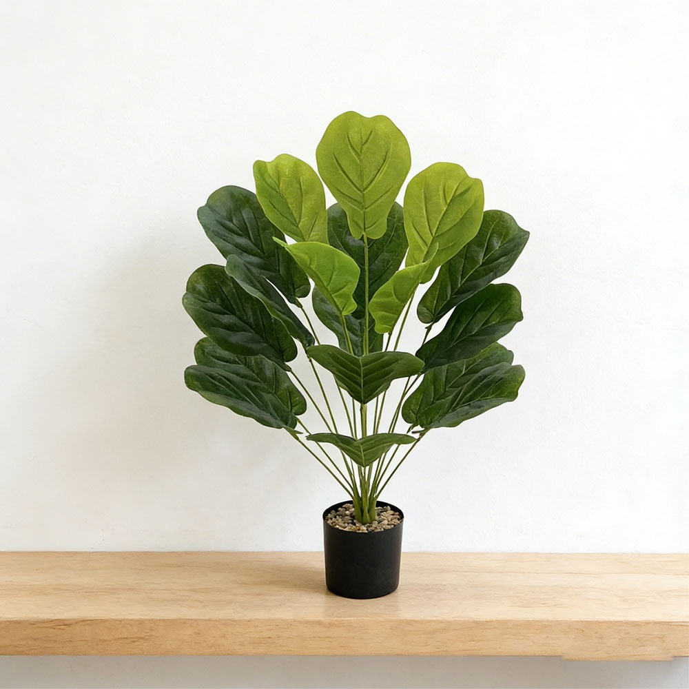 1pc of 75cm Artificial Ficus L - đánh giá và giá Ficus Lyrata Tree