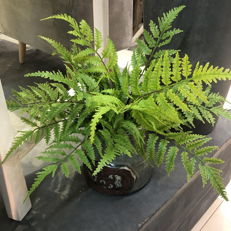 1pcs Artificial Plants Bedroom - đánh giá và giá Dracaena Marginata