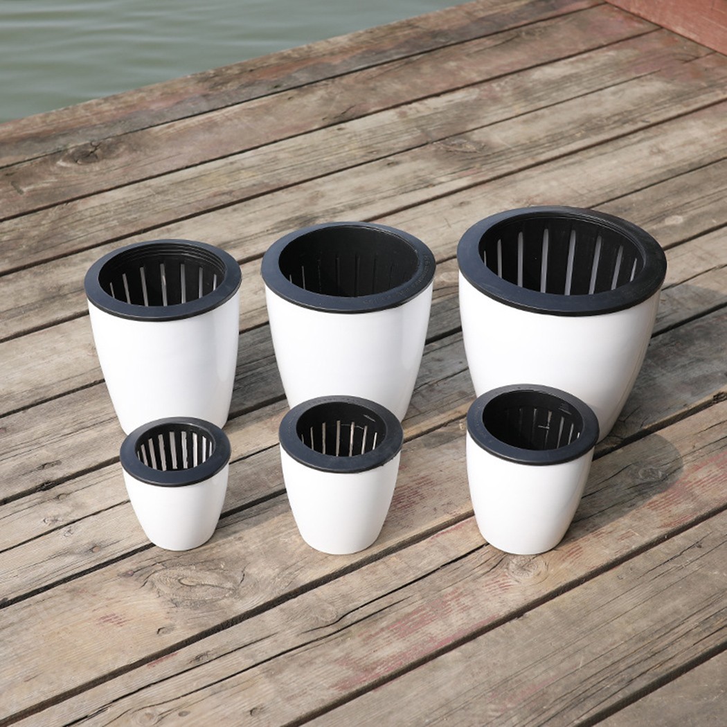 Cây Tự Động Tưới Hoa Cây Nồi G - đánh giá và giá Aloe Vera Pot