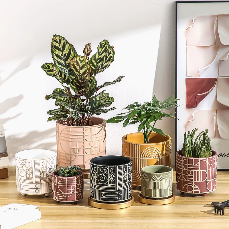 Simple Cylindrical Ceramic Flo - đánh giá và giá Aloe Vera Pot