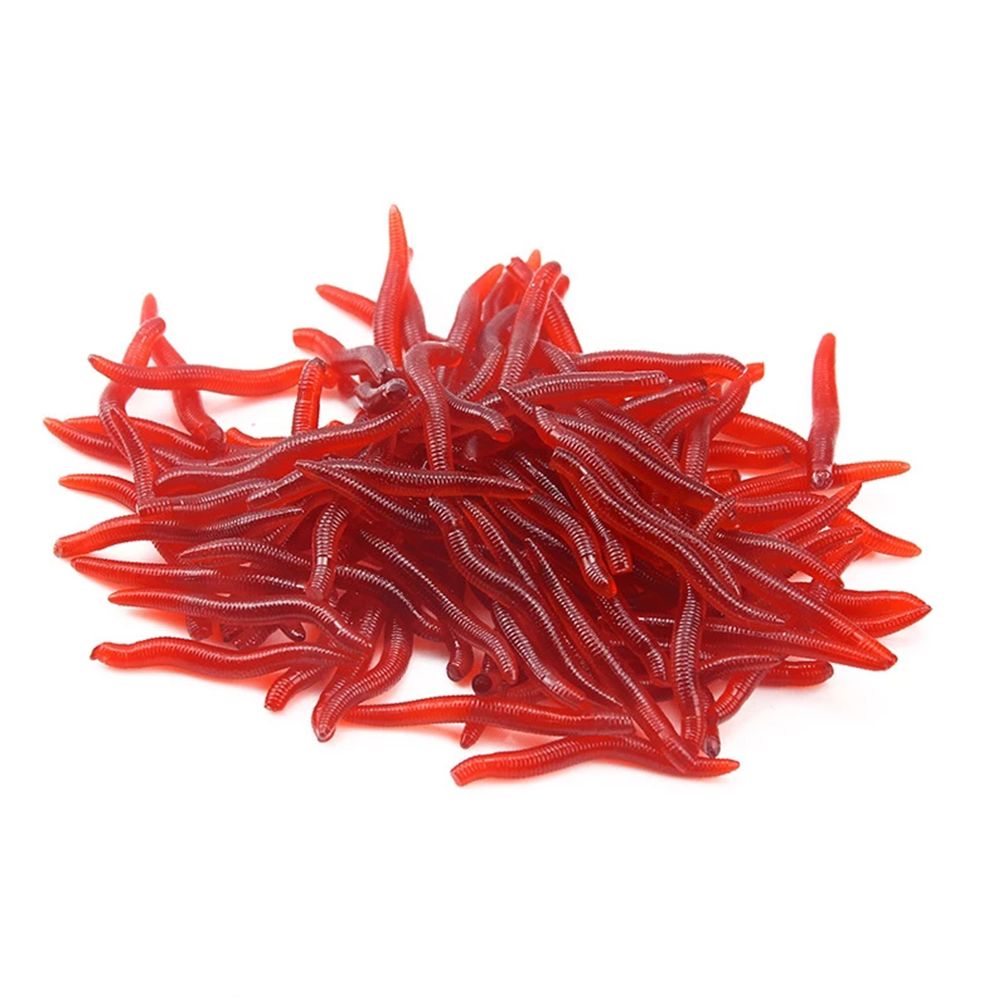 100 Cái/Bình Mềm Dụ Mô Phỏng G - đánh giá và giá Aglaonema Red